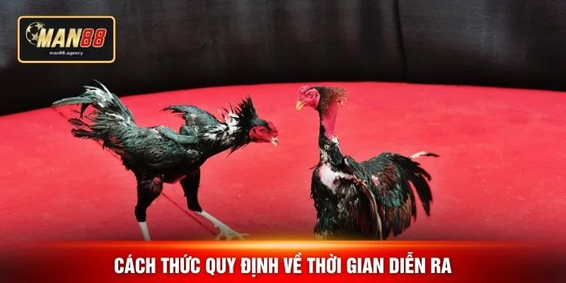 Cách thức quy định về thời gian diễn ra