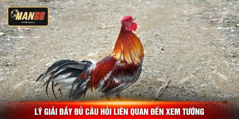 Lý giải đầy đủ câu hỏi liên quan đến xem tướng