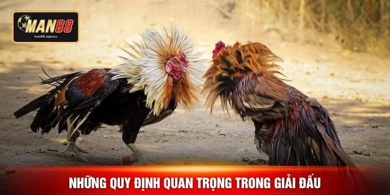 Những quy định quan trọng trong giải đấu