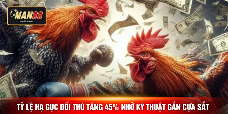 Tỷ lệ hạ gục đối thủ tăng 45% nhờ kỹ thuật gắn cựa sắt